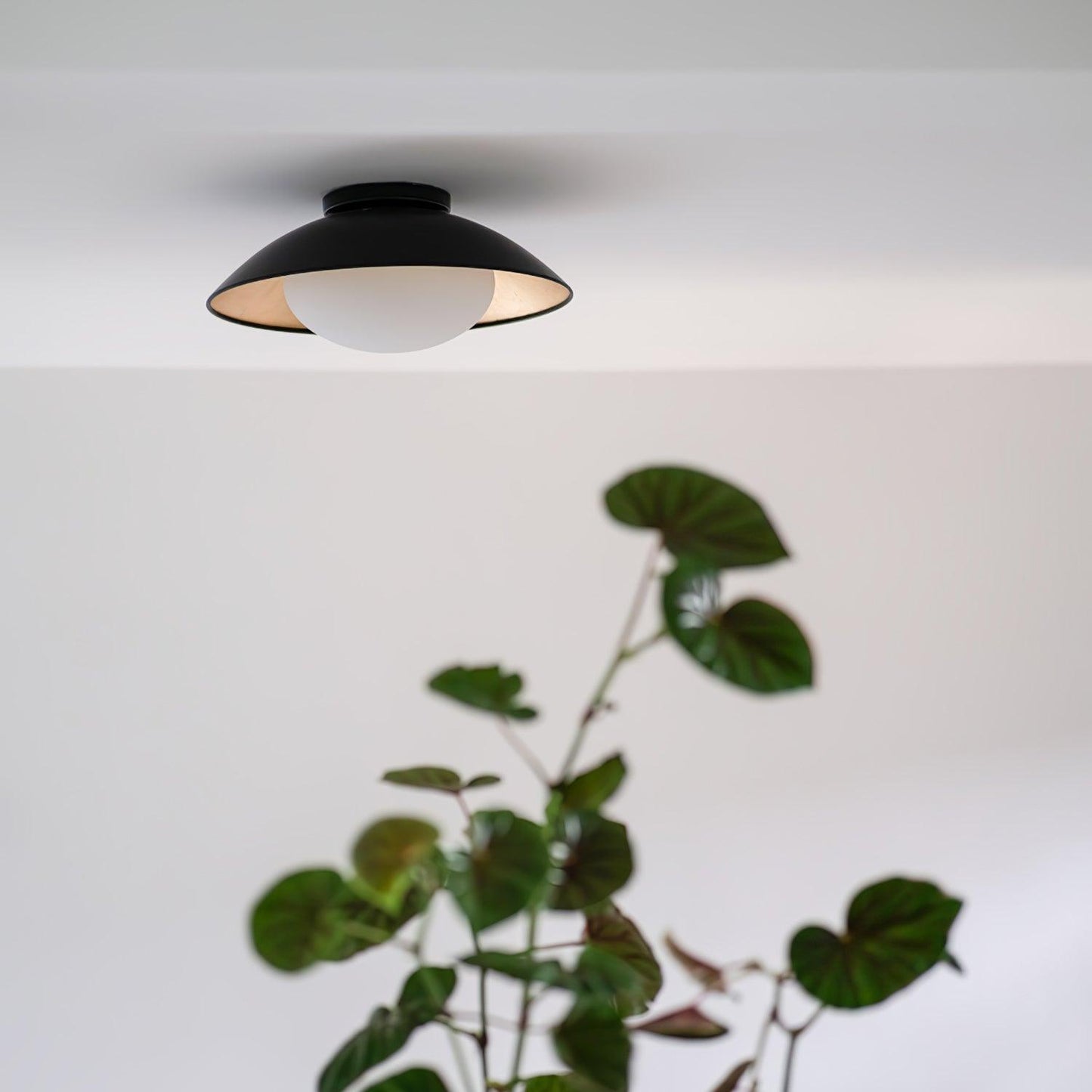 Adrienne Ceiling Lamp | Metal & Glass | Black & Gold