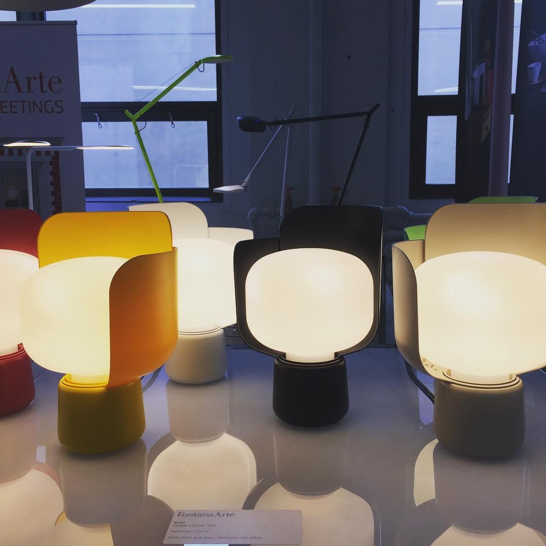 Petals Glass Table Lamp | Adjustable Light Intensity | Multiple Colors