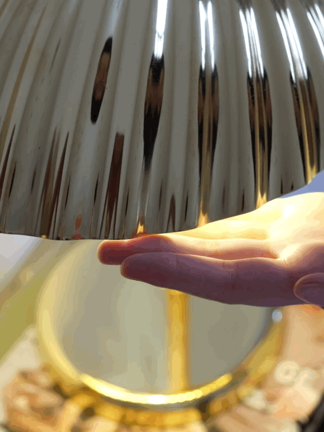 Brass Shell Table Lamp | Brass | Silver