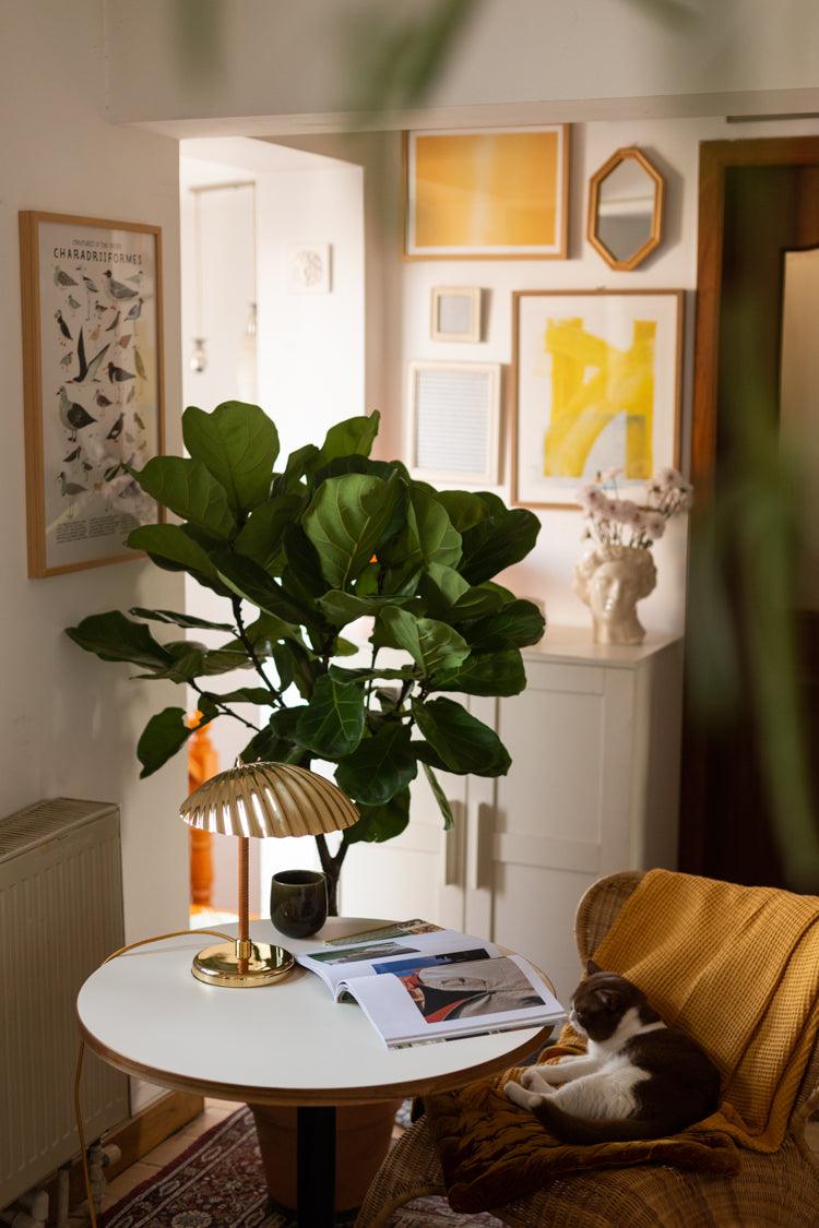 Brass Shell Table Lamp | Brass | Silver