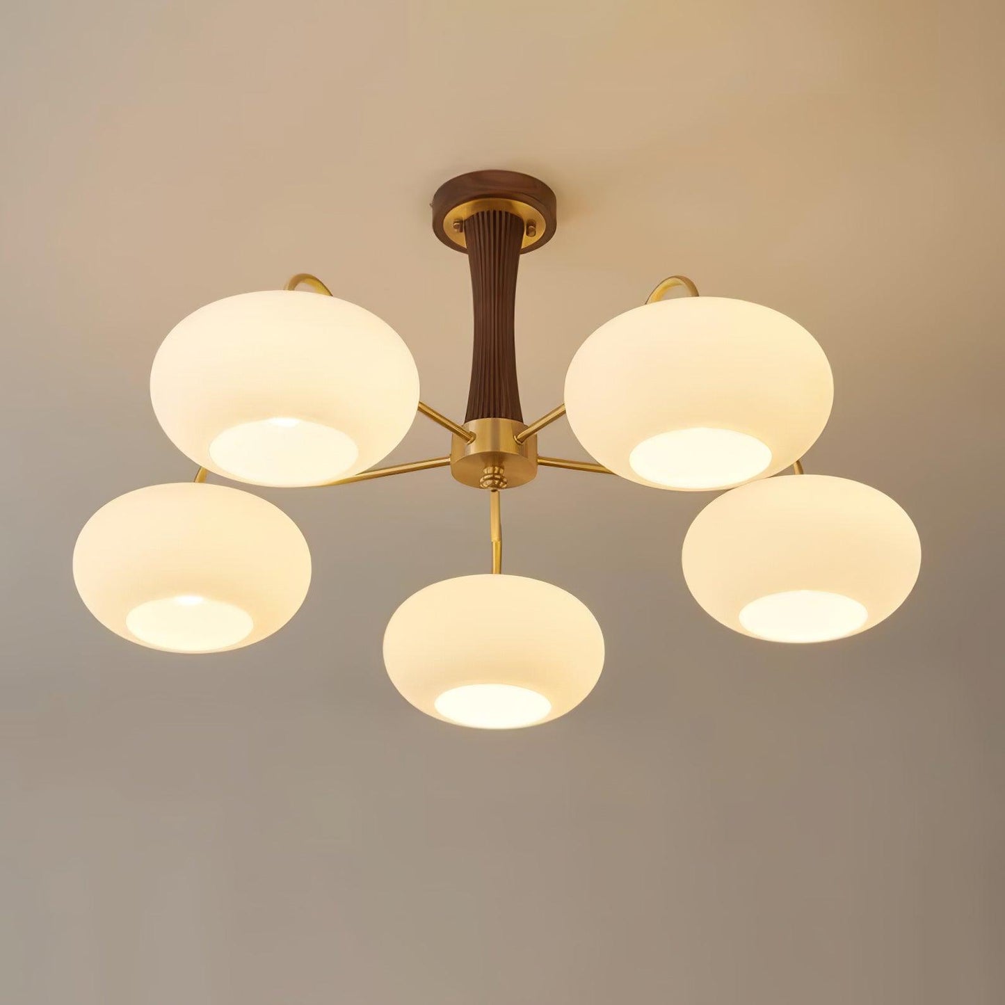 Brass Wooden Chandelier | Glass Shade | 3 or 5 Lights