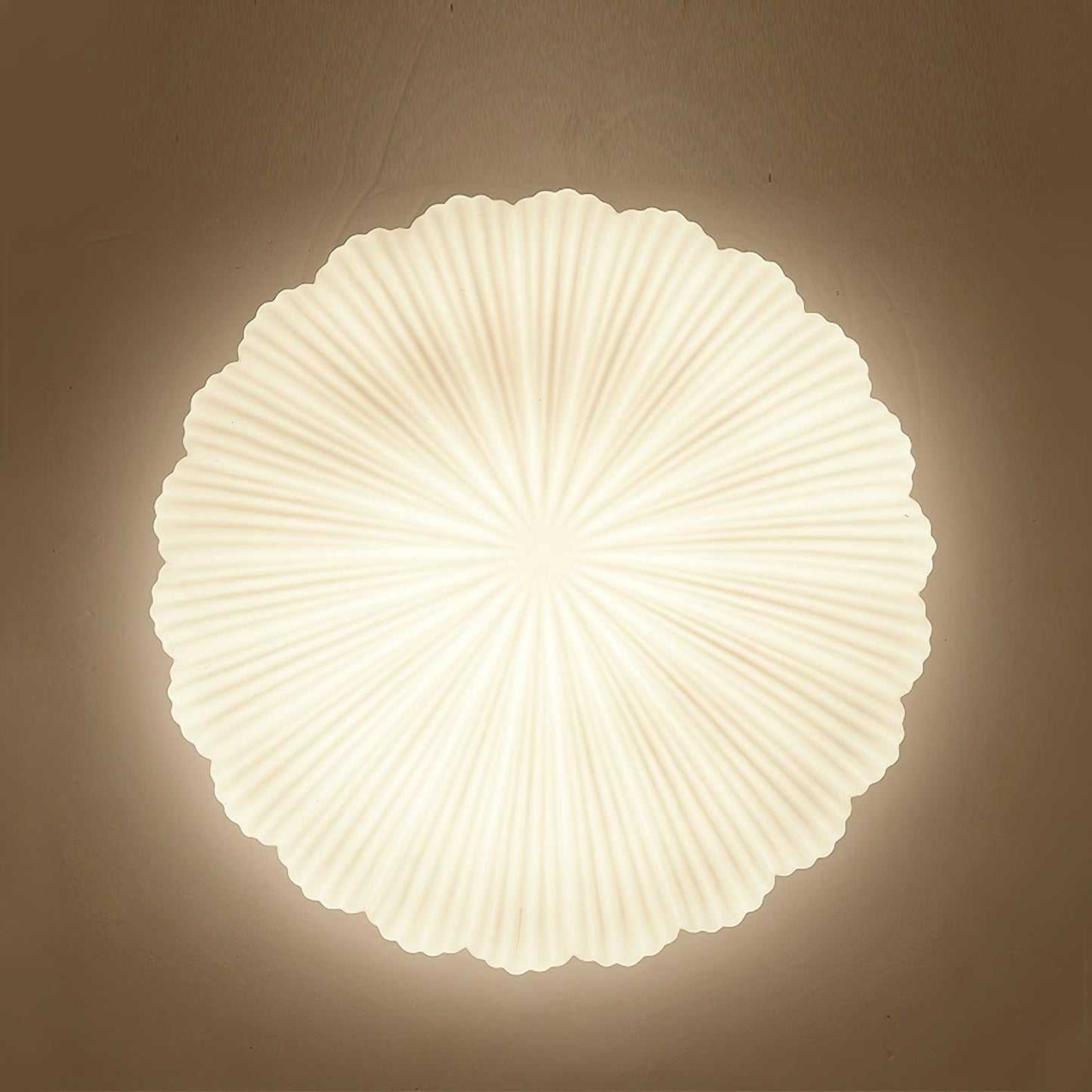 Seashell Ceiling Lamp | Integrated LED | White | 25cm/35cm Diameter