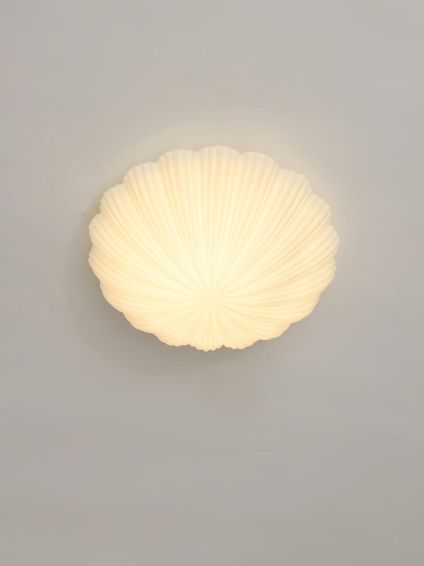 Seashell Ceiling Lamp | Integrated LED | White | 25cm/35cm Diameter