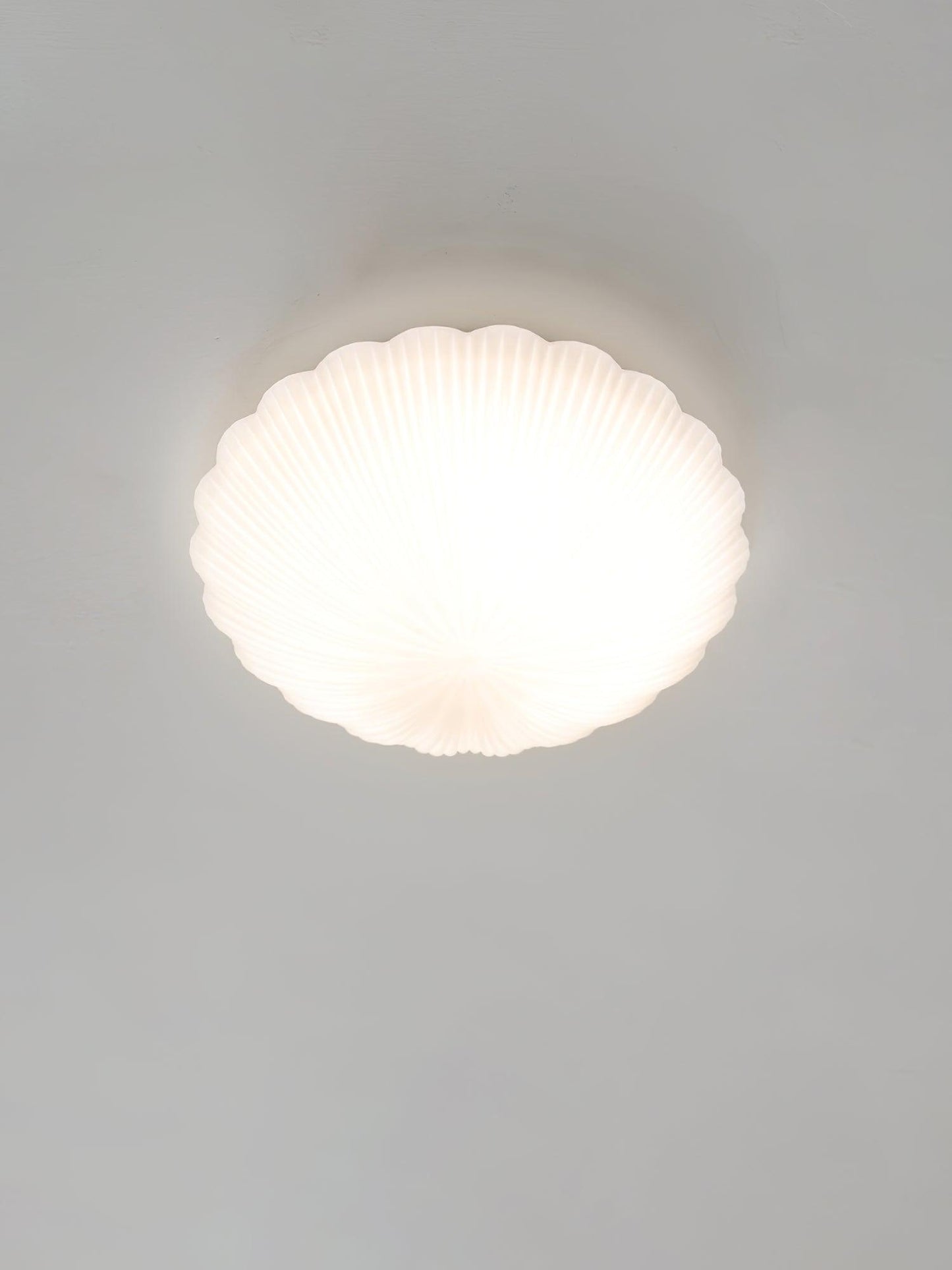Seashell Ceiling Lamp | Integrated LED | White | 25cm/35cm Diameter