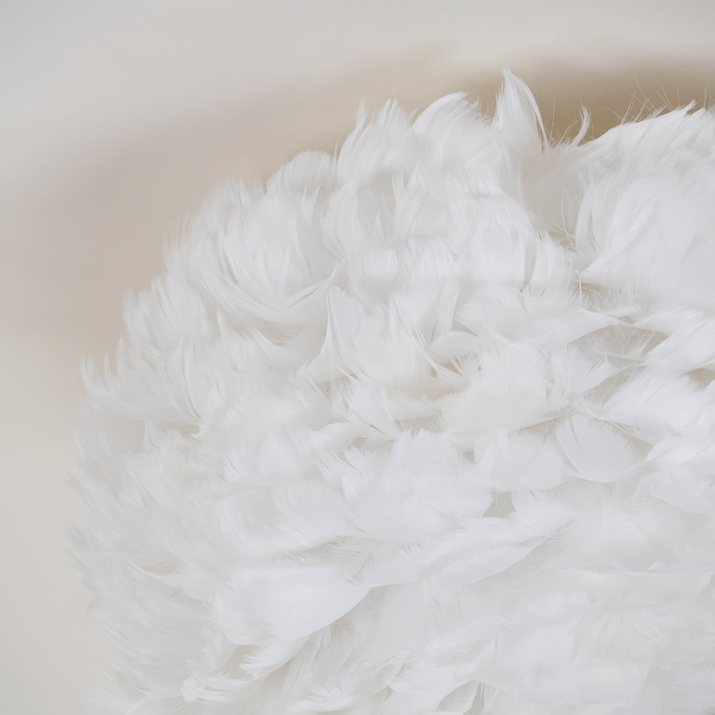 Feathered Ceiling Lamp | Goose Feather | White, Pink