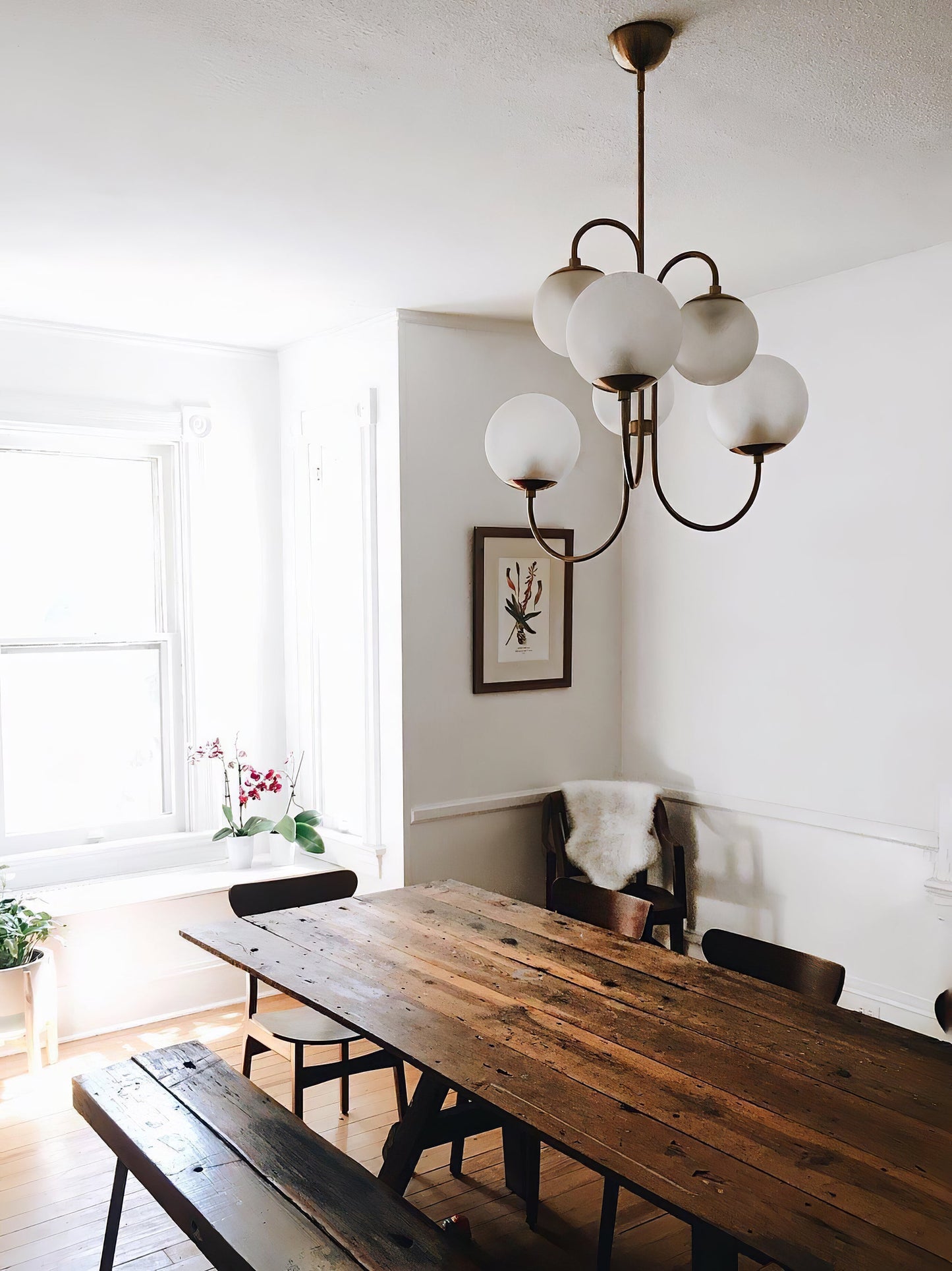 Gooseneck Chandelier | Salt-Blasted Glass Globes | Gold and Black