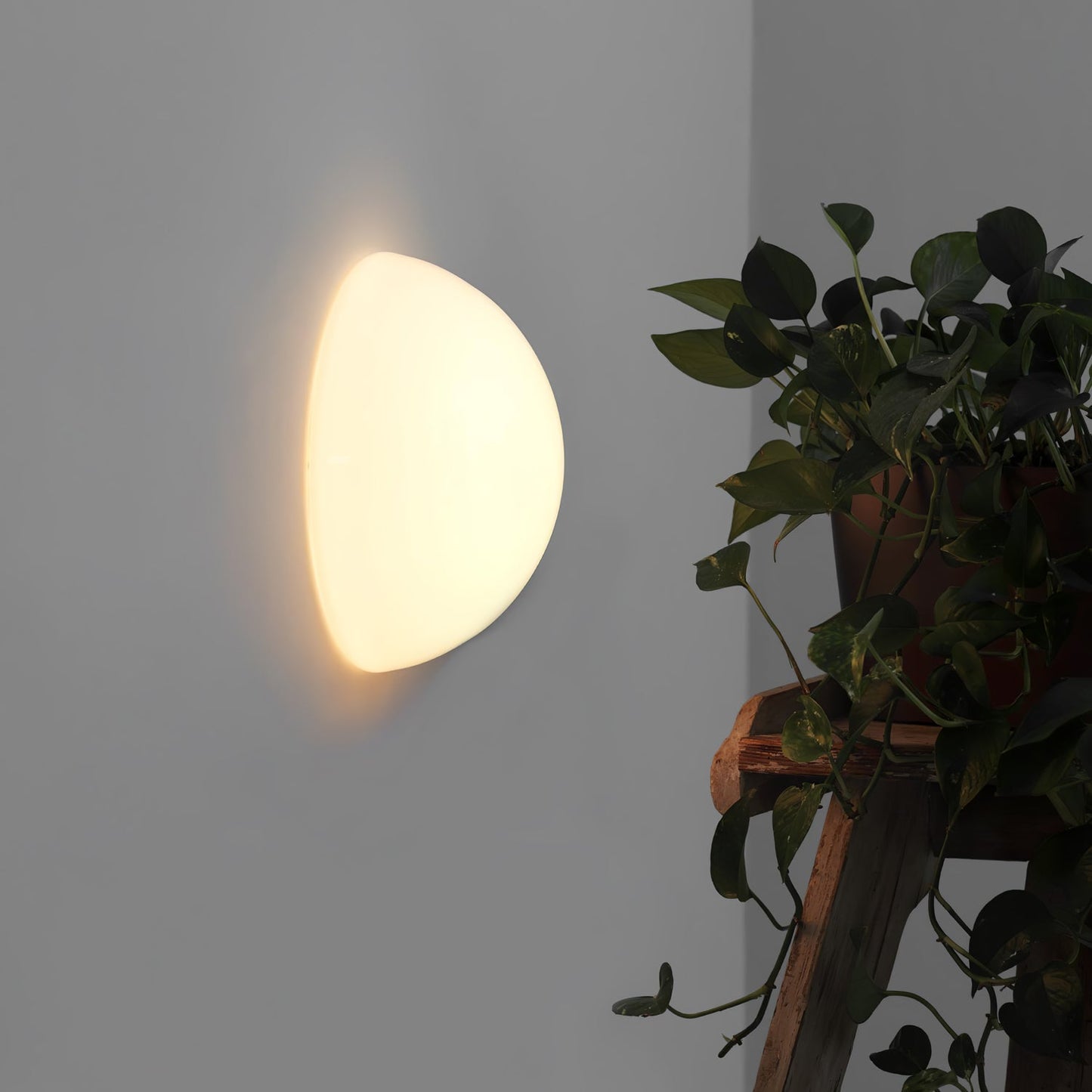 Halbkugel Wall Lamp | Glass & Metal | Frosted White or Bright White