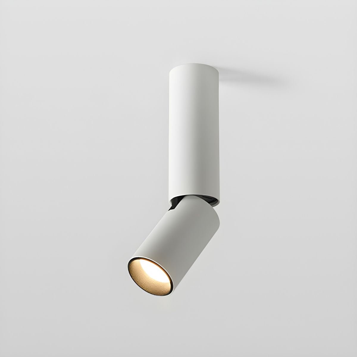 Julian Adjustable Downlight | Adjustable Spotlight | Black or White