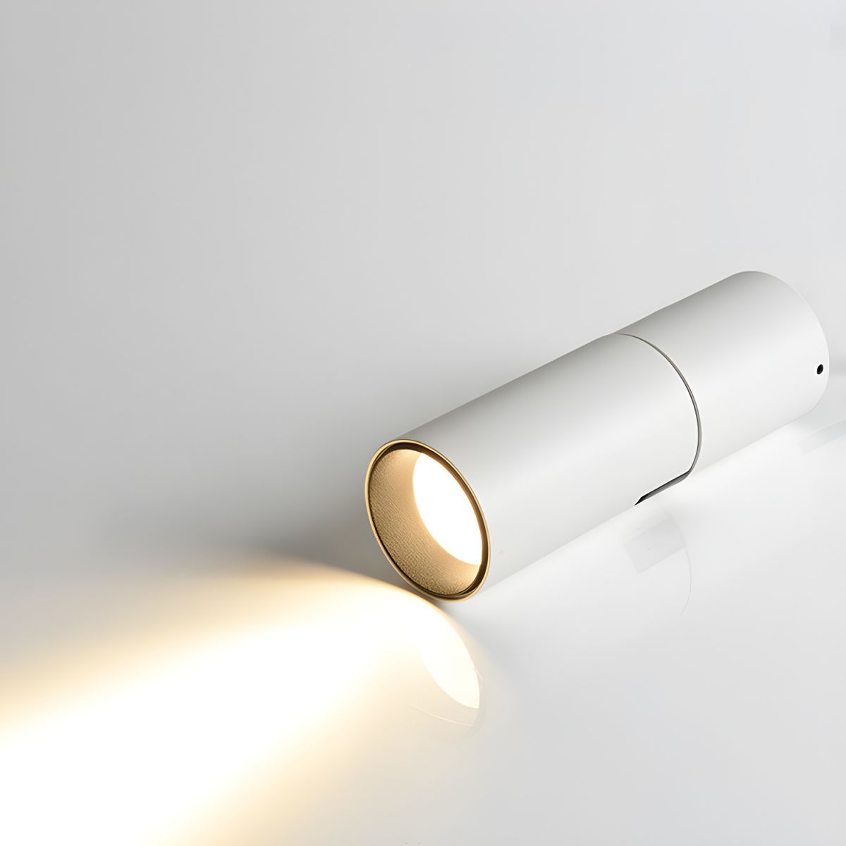 Julian Adjustable Downlight | Adjustable Spotlight | Black or White