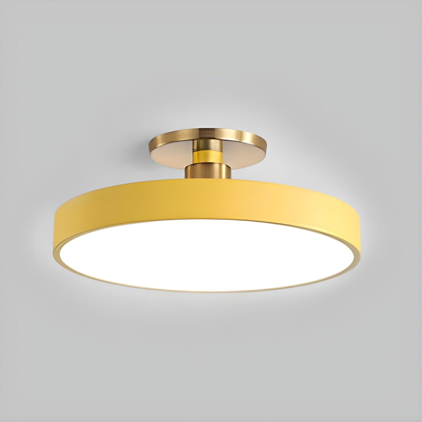 Isla Flush Mount Ceiling Lamp | Black and Gold Metal | 30cm or 40cm Diameter