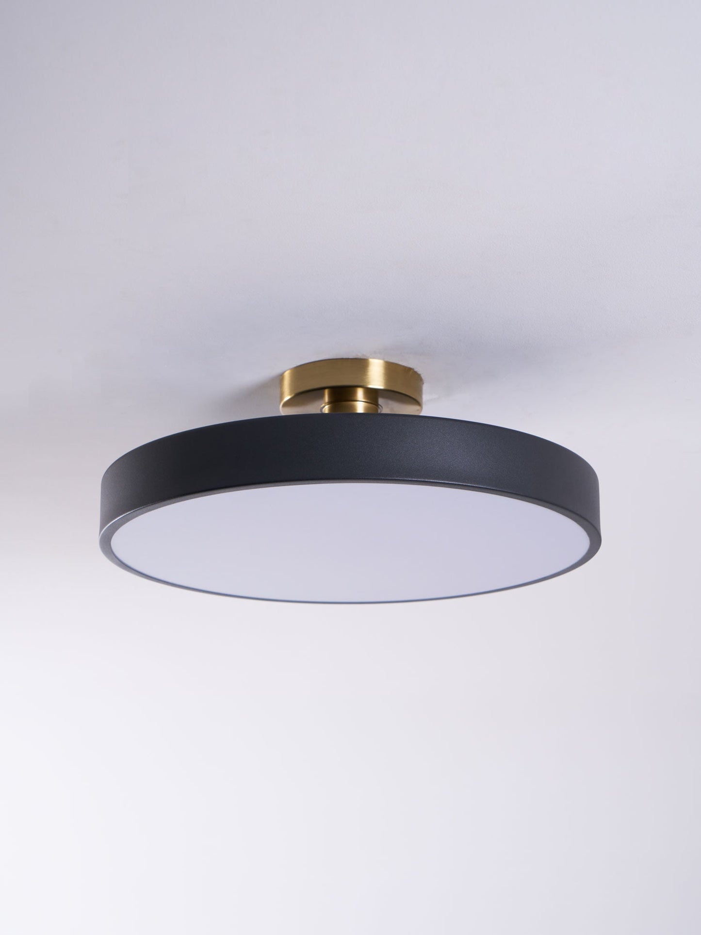 Isla Flush Mount Ceiling Lamp | Black and Gold Metal | 30cm or 40cm Diameter