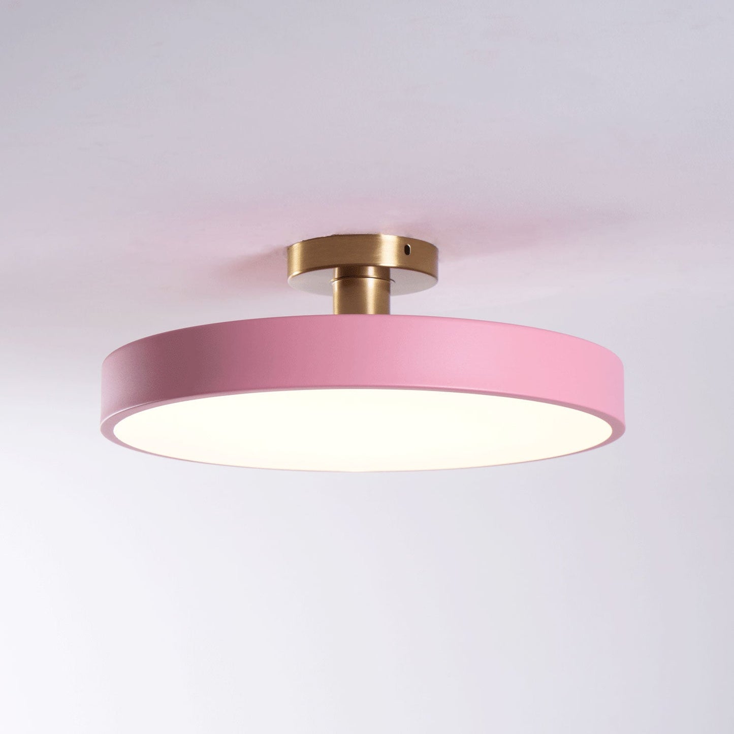Isla Flush Mount Ceiling Lamp | Black and Gold Metal | 30cm or 40cm Diameter