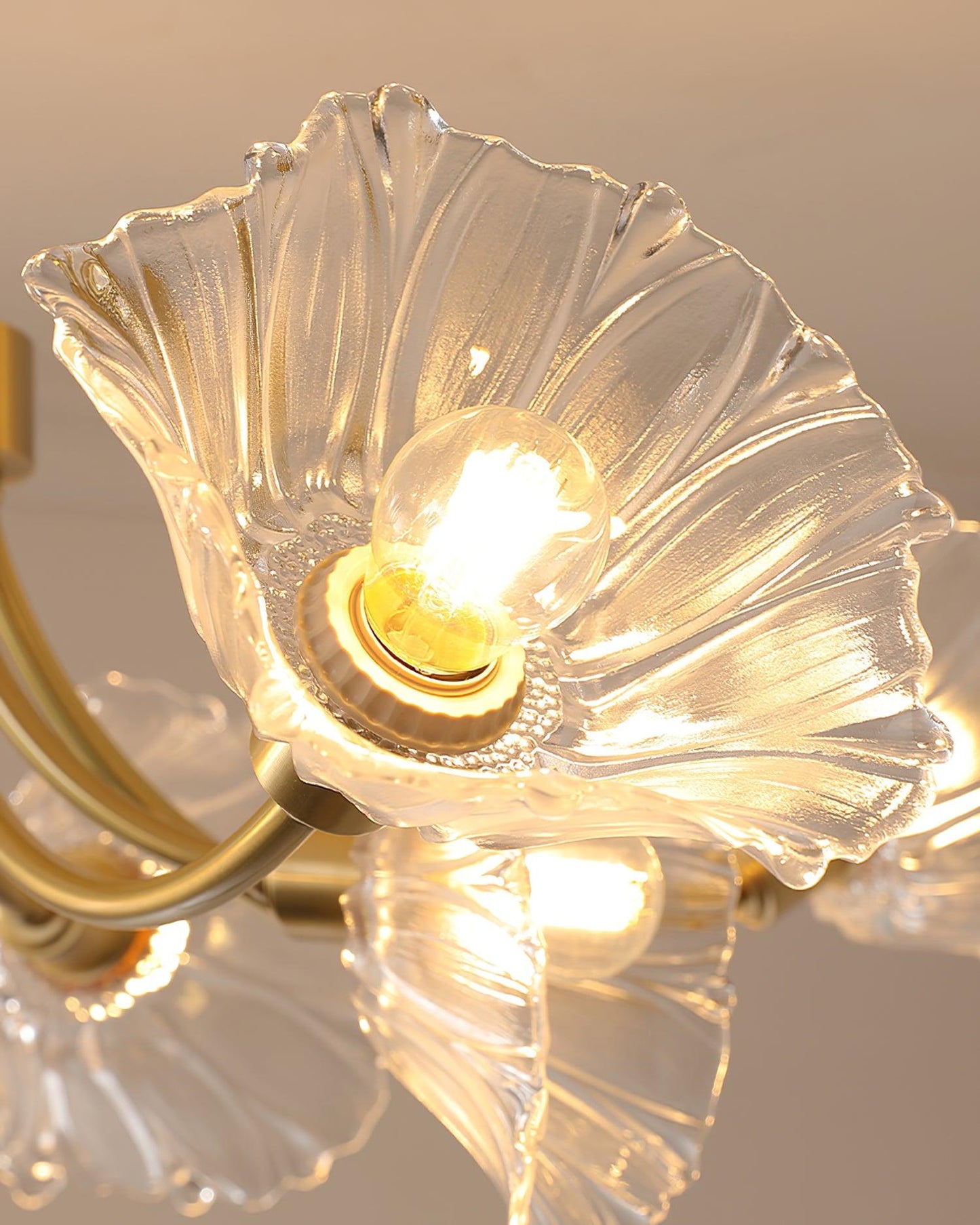 Kalin Ceiling Lamp | Brass & Glass | Multiple Heads Options