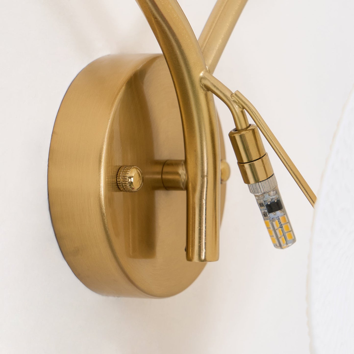 Lotus Petal Wall Lamp | Ceramic & Metal | Gold & White