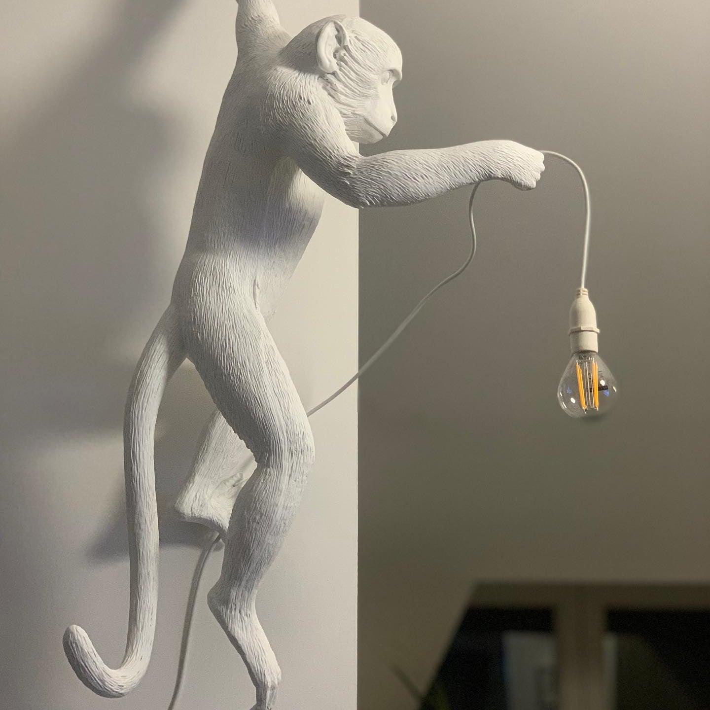 Monkey Wall Lamp | Resin & Metal | Black, Gold, White