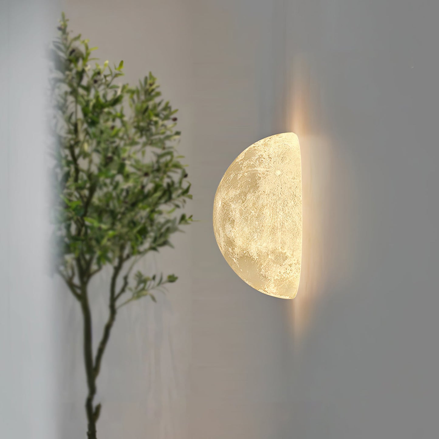 Moon 3D Wall Lamp | Lunar Surface | White