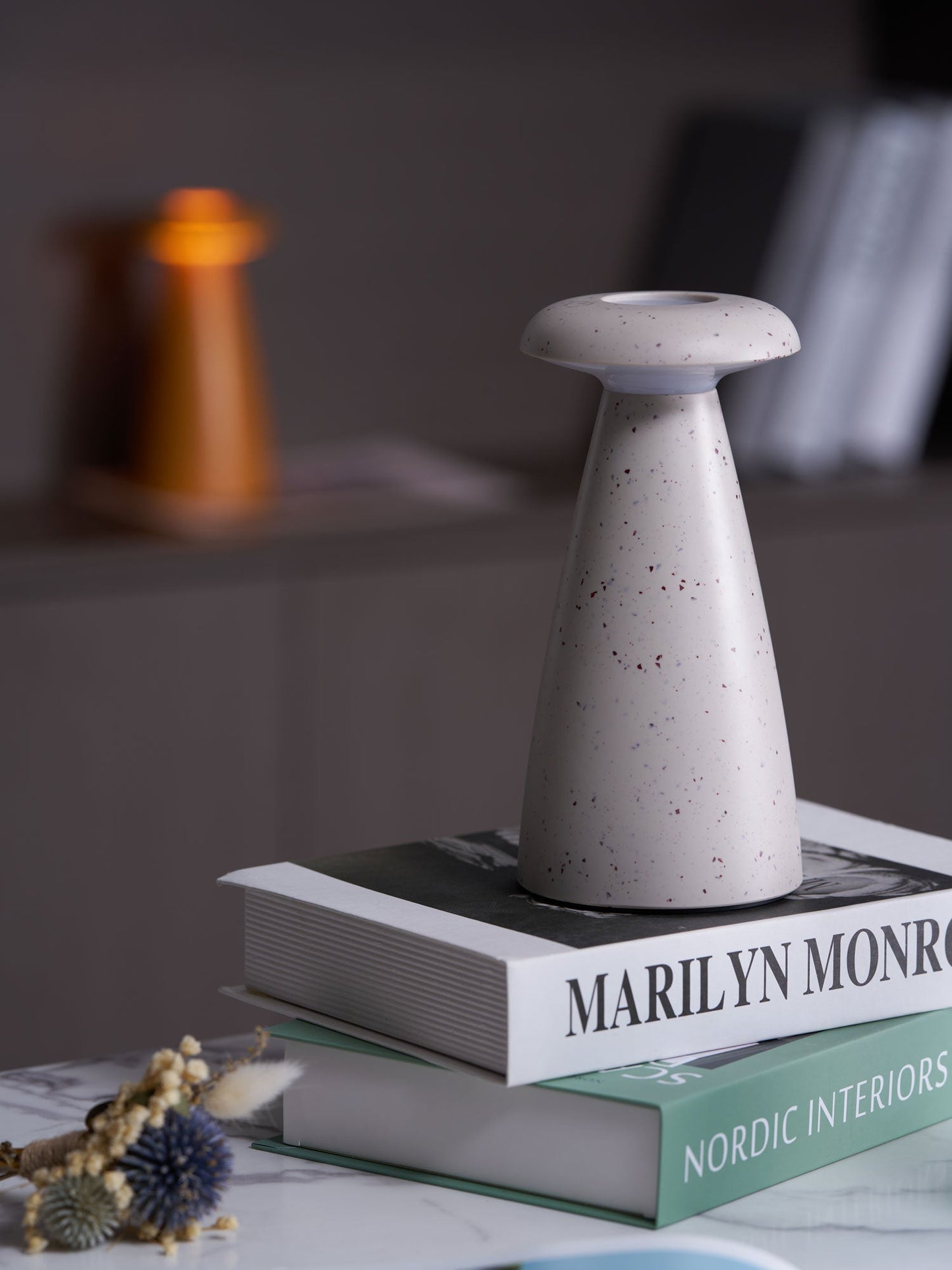 Noko Mushroom Table Lamp | Rechargeable | Grey, Green, Orange