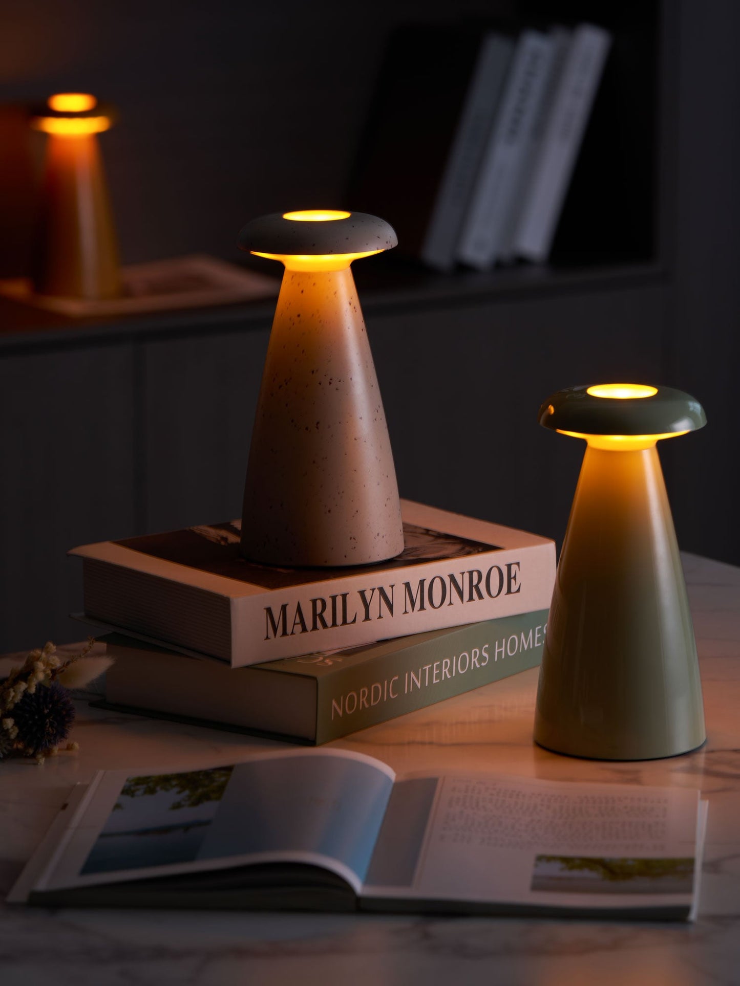 Noko Mushroom Table Lamp | Rechargeable | Grey, Green, Orange