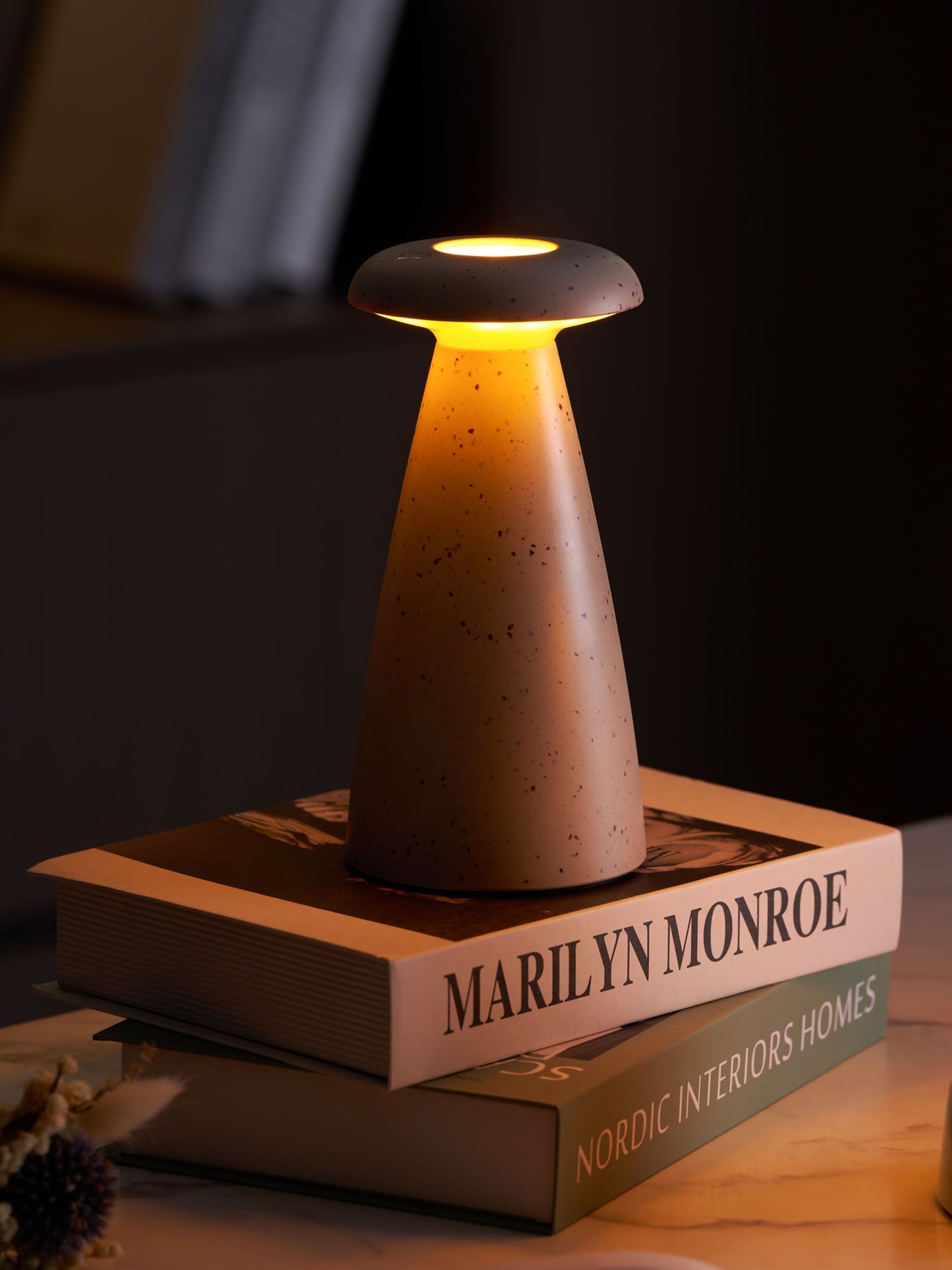 Noko Mushroom Table Lamp | Rechargeable | Grey, Green, Orange