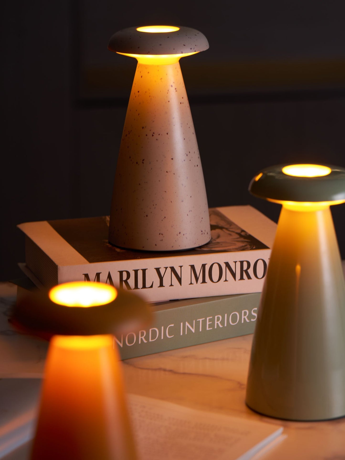 Noko Mushroom Table Lamp | Rechargeable | Grey, Green, Orange