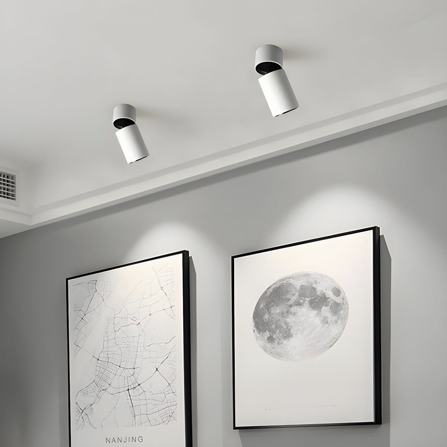 Oliver Tube Downlight | Metal & Aluminum | Black or White