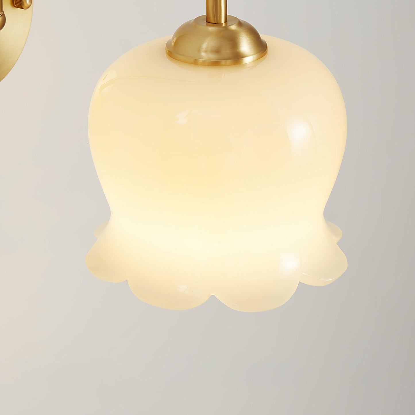 Orchids Wall Lamp | Brass & Glass | Set of 2