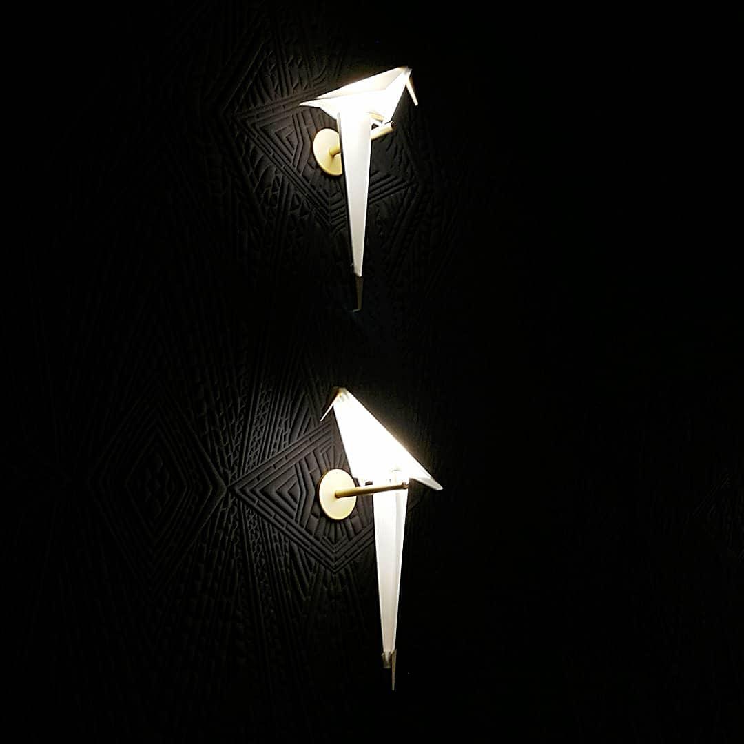 Avian Serenity Wall Lamp | Adjustable Metal & PC | Set of 2