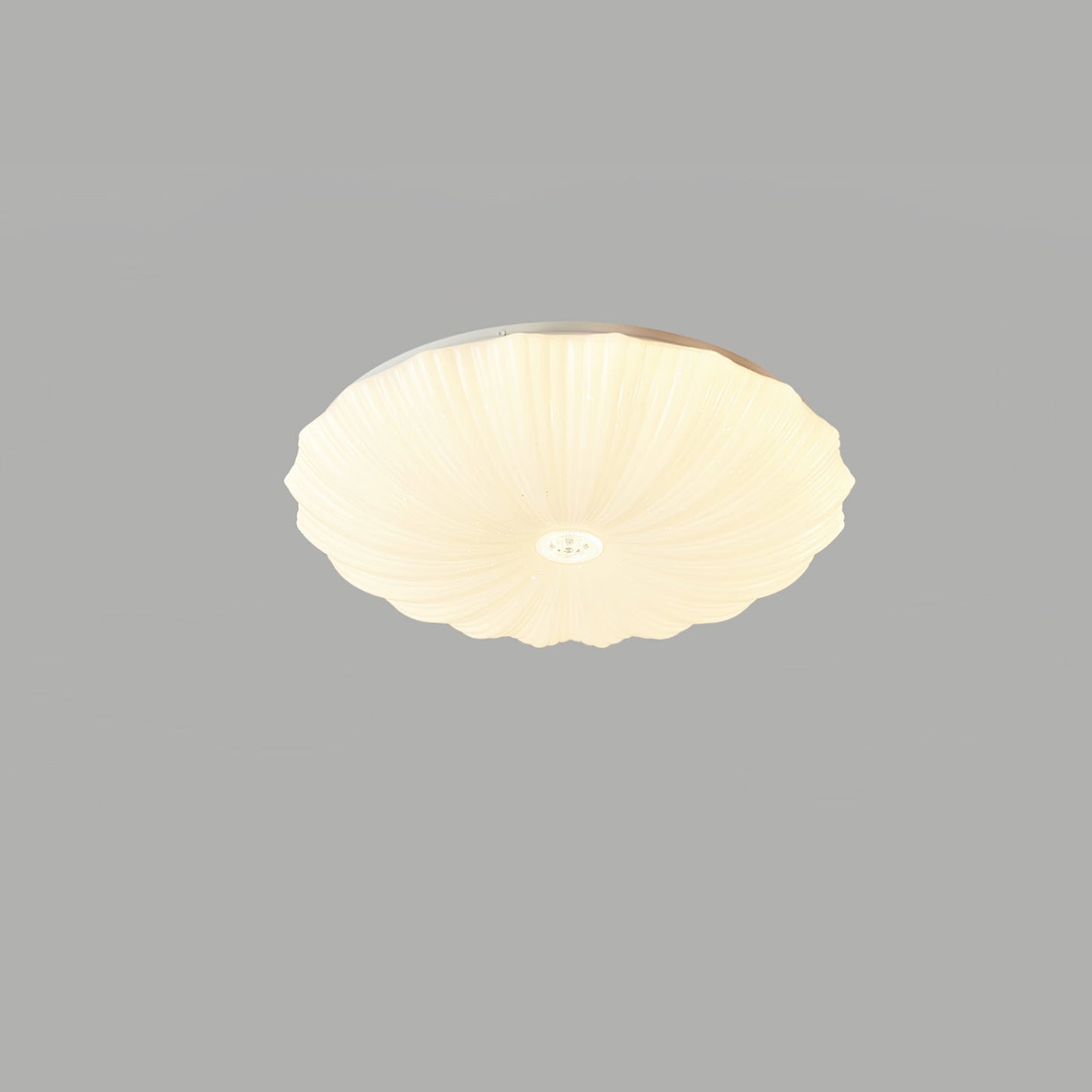 Acrylic Shell Ceiling Lamp | Metal & Acrylic | White
