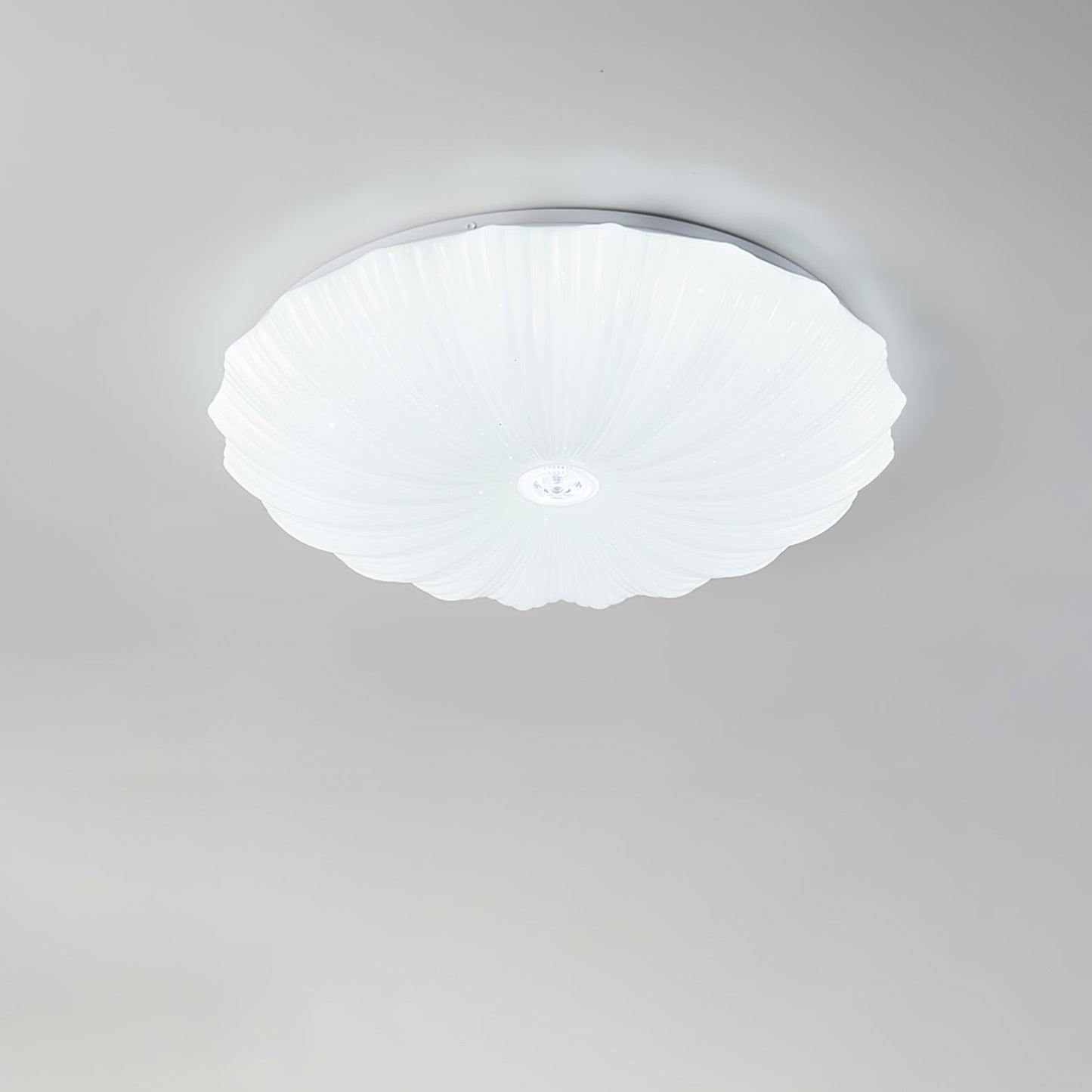 Acrylic Shell Ceiling Lamp | Metal & Acrylic | White