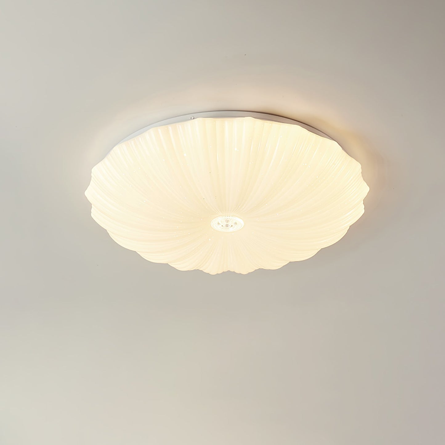 Acrylic Shell Ceiling Lamp | Metal & Acrylic | White