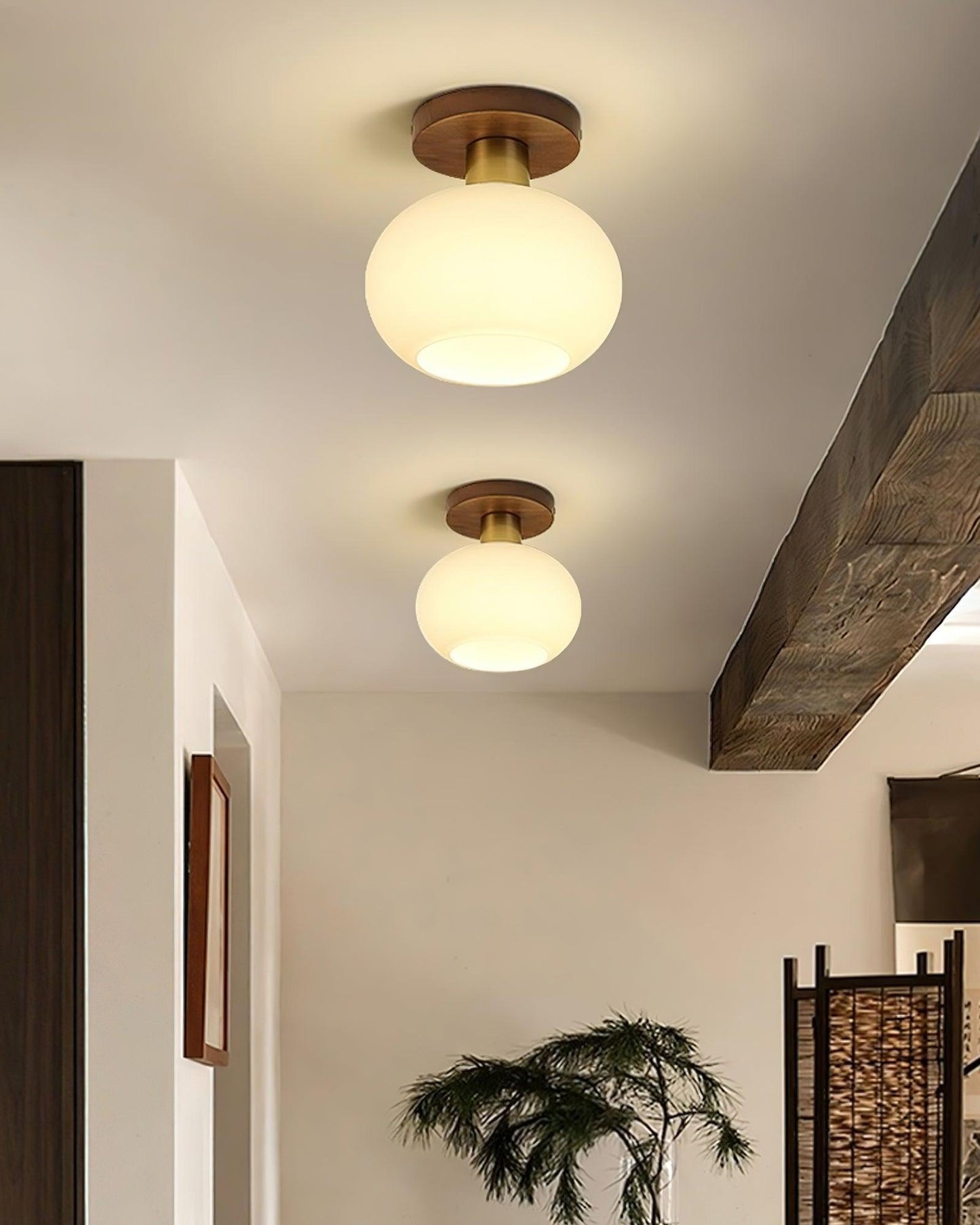 Shell Ceiling Lamp | Black Walnut & Copper | 18cm Diameter