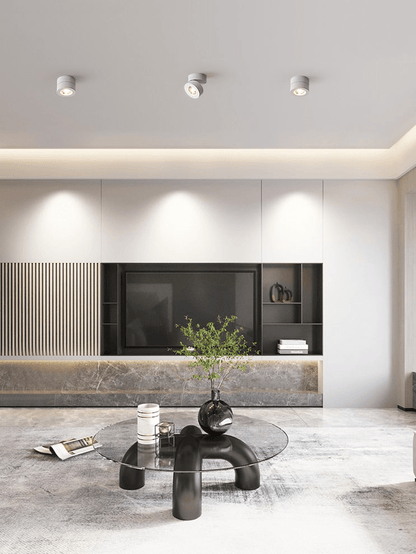 Round Rotating LED Downlight | Adjustable Metal & Acrylic | Black or White