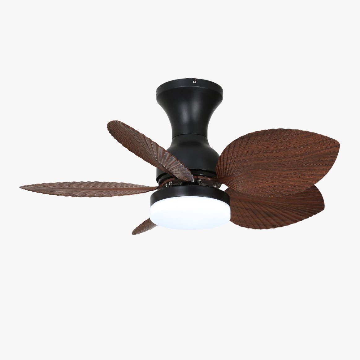 Floriva Blossom Ceiling Fan | Wooden Blades & Glass Lights | Black or Walnut Wood
