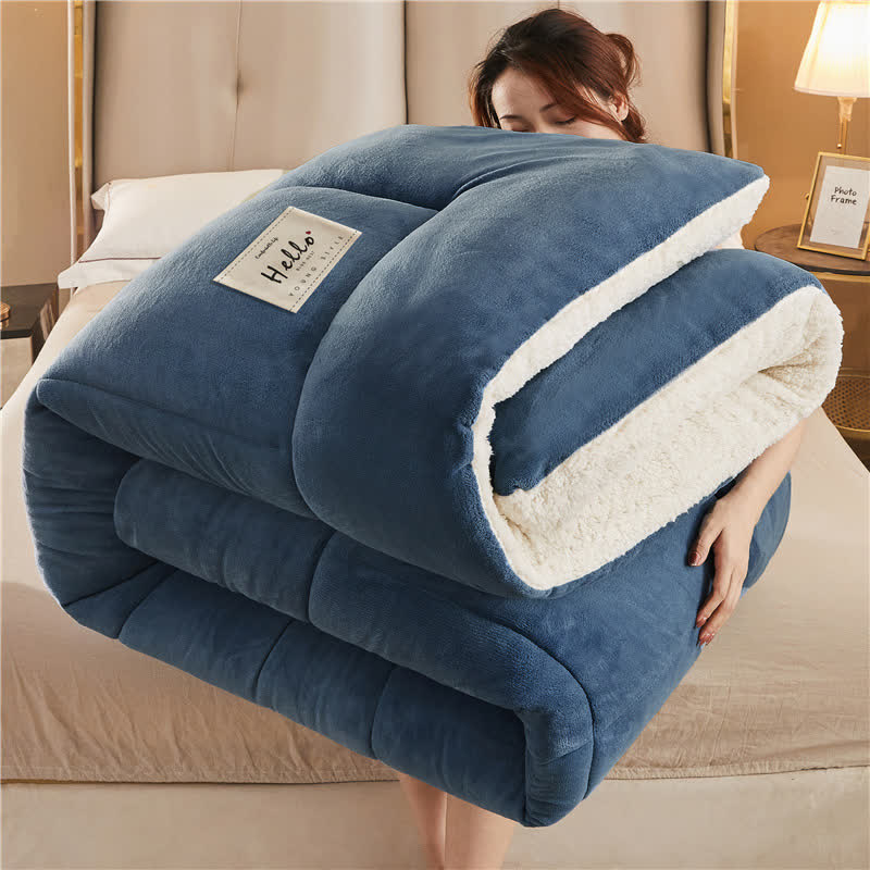 Thick Blanket | Premium Microfiber & Sherpa Fleece | Full, Queen, King Sizes