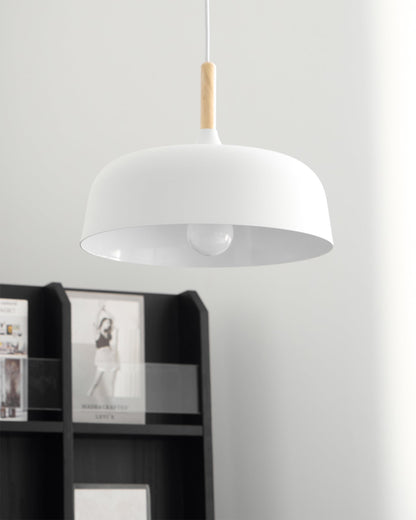 Acorn Pendant Light | Zinc Alloy & Wood | Multiple Colors