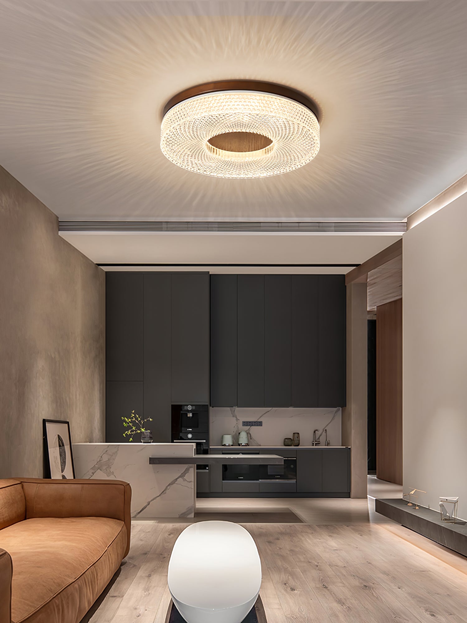 Acrylic Halo Ceiling Light | Round | White