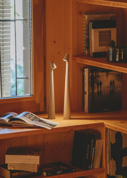 Africa Portable Table Lamp | Metal & Acrylic | Rechargeable, 4 Colors