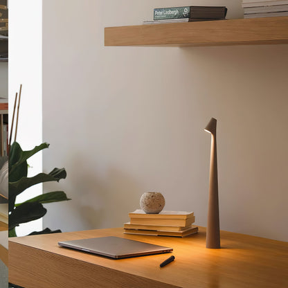 Africa Portable Table Lamp | Metal & Acrylic | Rechargeable, 4 Colors