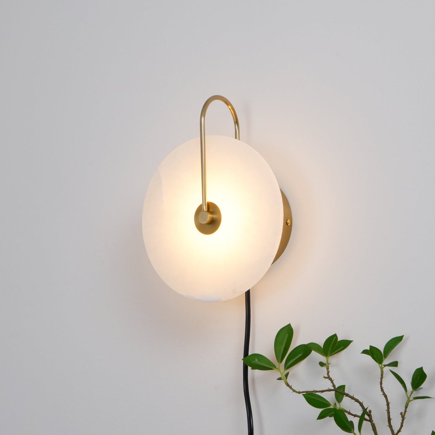 Alabaster LED Wall Lamp | High-Quality Alabaster | Multiple Sizes Available