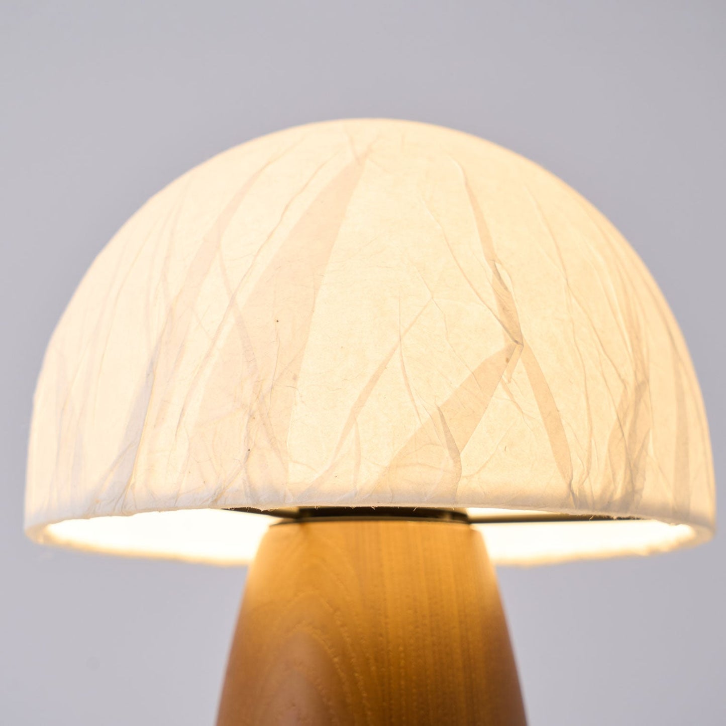 Myco Mushroom Table Lamp | Wooden Base | White Shade