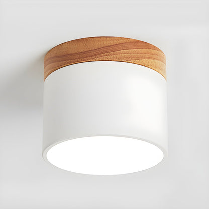 Alva Wooden Surface Downlight | Wood & Metal | Black, White, Grey, Blue, Green, Pink, Coffee