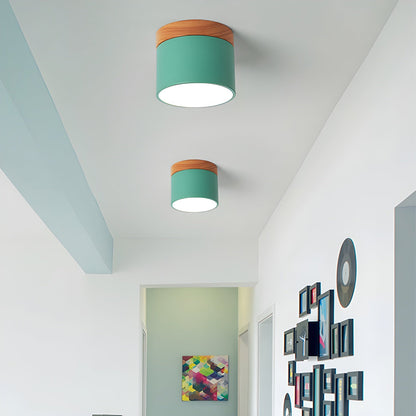 Alva Wooden Surface Downlight | Wood & Metal | Black, White, Grey, Blue, Green, Pink, Coffee