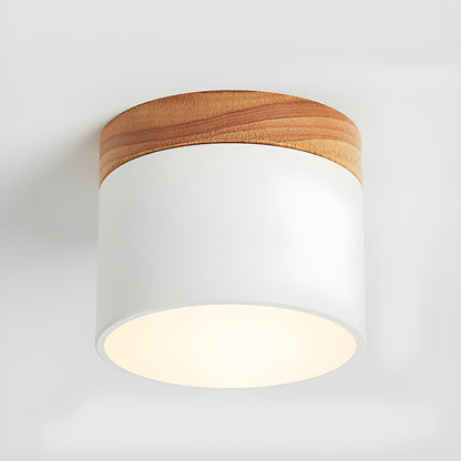 Alva Wooden Surface Downlight | Wood & Metal | Black, White, Grey, Blue, Green, Pink, Coffee