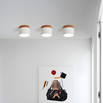 Alva Wooden Surface Downlight | Wood & Metal | Black, White, Grey, Blue, Green, Pink, Coffee