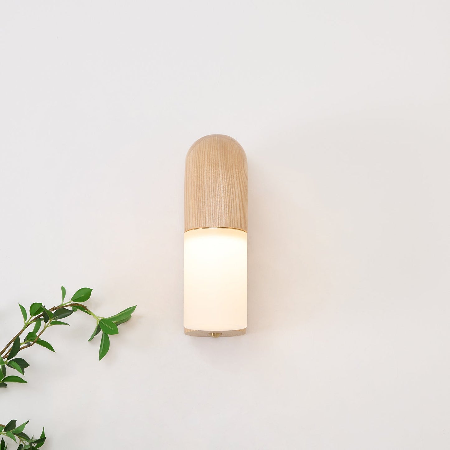 Arcus Wood Wall Lamp | Wood/Metal/Acrylic | Various Finishes