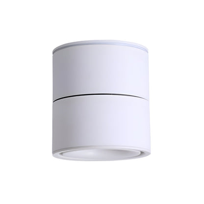 Artemis Spotlight | Adjustable Black Cylindrical Body | Indoor