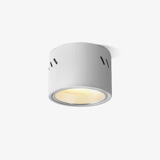 Aven Spotlight | Aluminum | Black or White