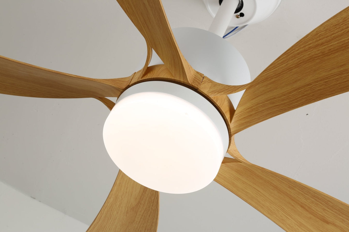 Avenli Ceiling Fan Light | Wood Blades | White