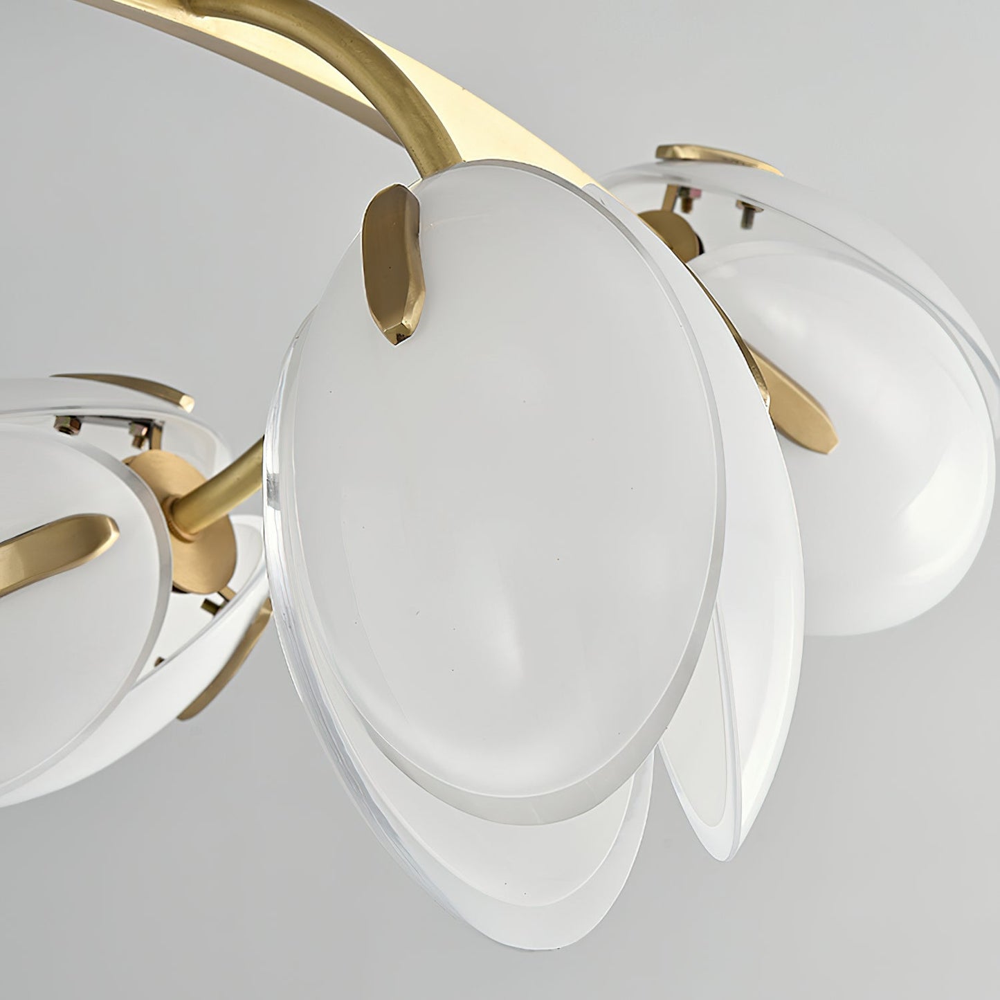 Belluno Chandelier | Brass & Opal Glass | 3, 5, or 8 Lights