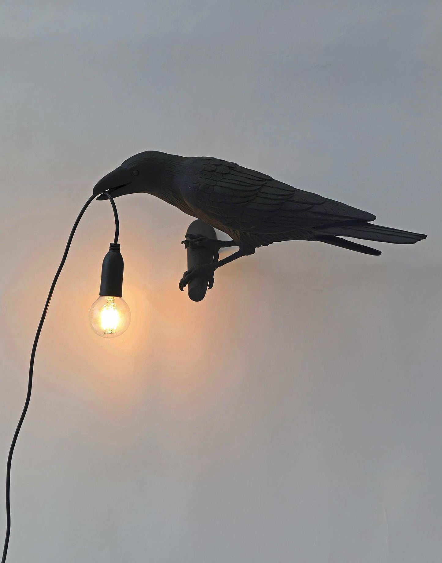Bird Wall Light | Resin & Metal | Set of 2 (Left & Right)